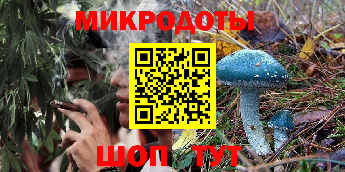 Вятские Поляны  Псилоцибиновые грибы MAGIC MUSHROOMS  Вход с VPN 